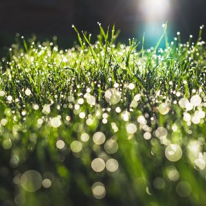 DSCF1579-2.jpg