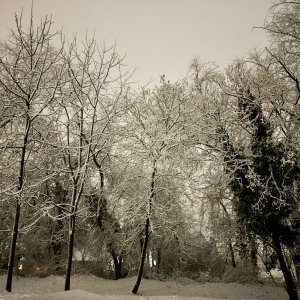 IMG_4250.jpeg