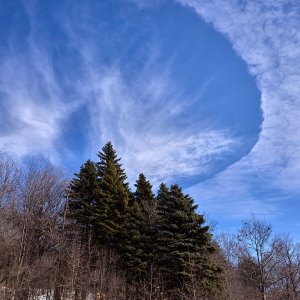 2024-02-13 ~ _R5_5744.jpg