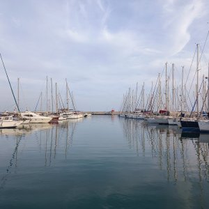 IMG_20240211_164553.jpg