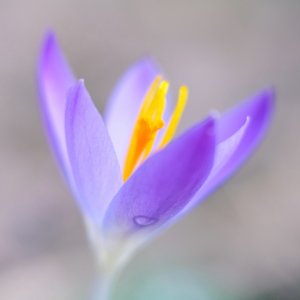 IMG_2024-02-16-193807.jpeg