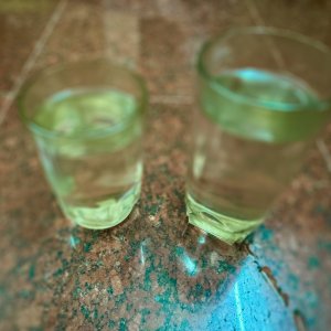 IMG_6649.jpeg