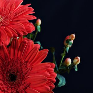 flower - 1.jpeg