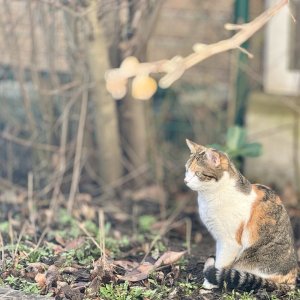 IMG_7972.jpeg