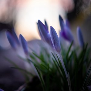 IMG_2024-02-25-191415.jpeg