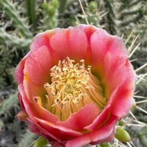 IMG_0757.jpeg