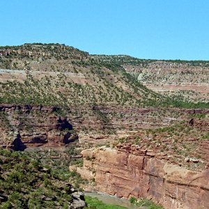 5BDSC_0189.jpg