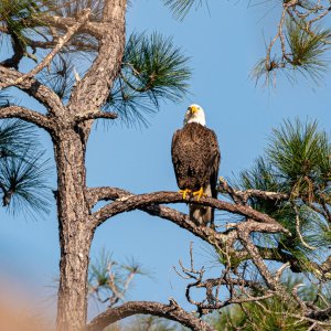 Feb 2024 Wetlands -2500px-19.jpg