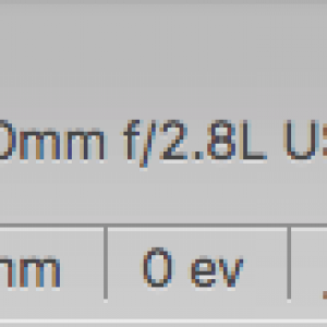 Screen Shot 2019-09-21 at 1.41.22 PM.png