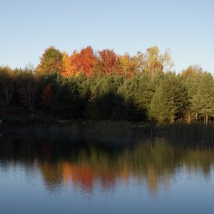 DSC_2489.jpg