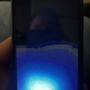 image3.jpeg