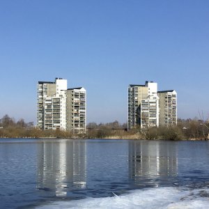 IMG_4863.JPG