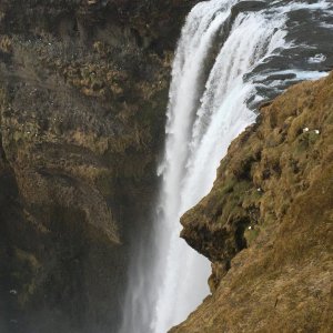 IMG_1837.jpeg