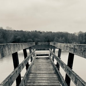 IMG_6944.jpeg