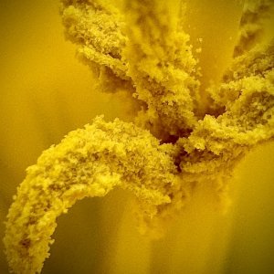 IMG_3136.jpeg
