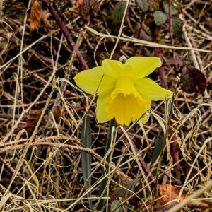 IMG_7015.jpeg