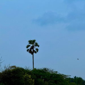 IMG_8057.jpeg