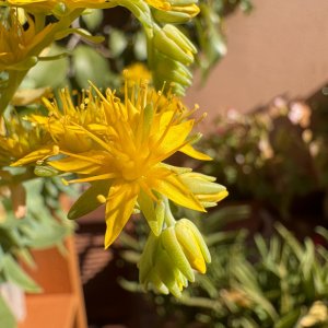 IMG_1096.jpeg