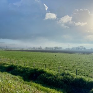 IMG_1357.jpeg