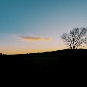 IMG_1418.jpeg