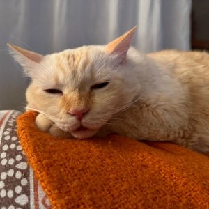 IMG_0042.jpeg