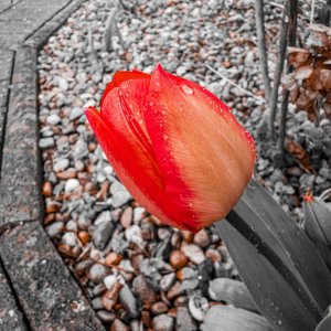 IMG_7041-HDR.jpg
