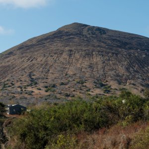Galapagos_IMG_7034.jpg