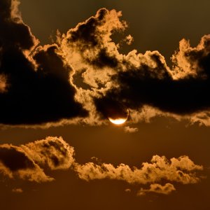 2021-07-21 ~ 5D4_5309.jpg