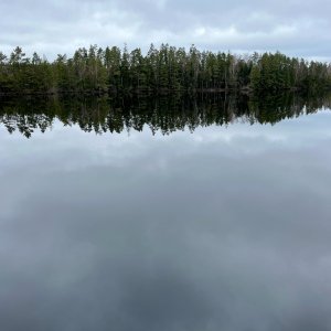IMG_2539.jpeg