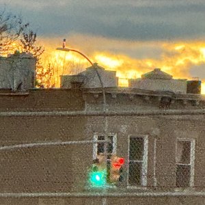 IMG_2666.jpeg