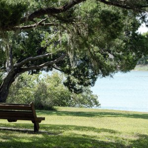 Bench2-2500px.jpg