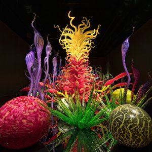 Chihuly_5630_1000p.jpg