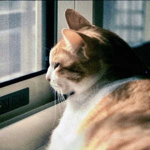 IMG_3003.jpeg