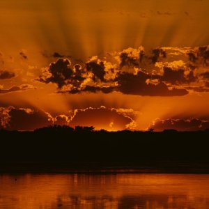 Duck Sunset.jpg