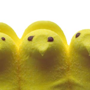Happy Easter!.jpg