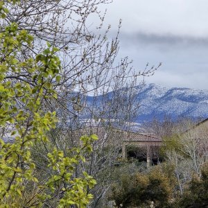 IMG_0513.jpeg