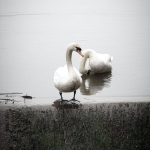 IMG_7217-HDR.jpg