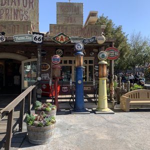 IMG_6842.jpeg