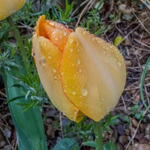 IMG_7242-HDR.jpg