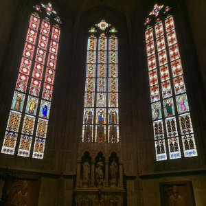 IMG_5591.jpeg