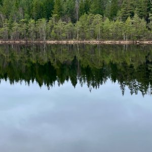 IMG_2625.jpeg