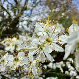 IMG_5034.jpeg