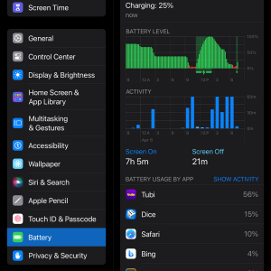 iPad-6_screen-on-time_44-percent-battery-health.png