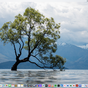 Screenshot 2024-04-08 at 12.35.29 PM.png