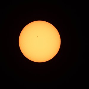 _DS59310.jpg