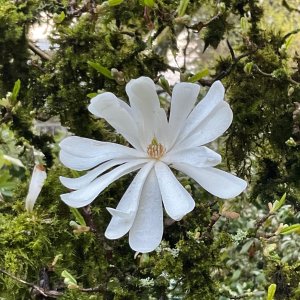 unnamed-37.jpg