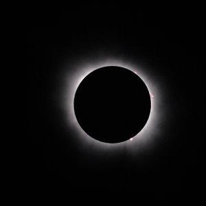 5C007024-CE3C-4B7A-98AF-12625CC4E014-13852-00000AD60DF6030E.jpeg