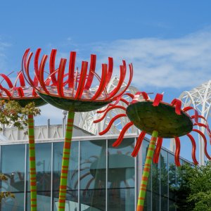 IMG_0363.jpg
