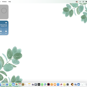 Screenshot 2024-05-15 at 08.46.38.png