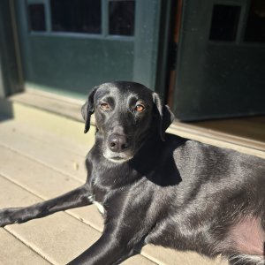 Media '20240515_091409.jpg' in category 'Alternatives to iOS'